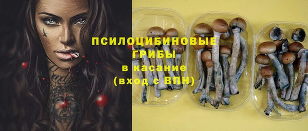 мет Козловка