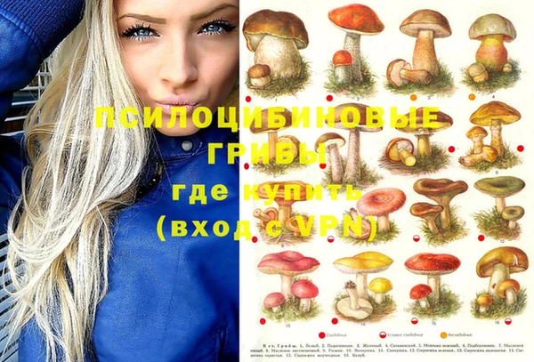 mdpv Кодинск