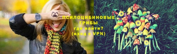 мет Козловка