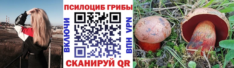 гидра как зайти  Шимановск  Псилоцибиновые грибы Magic Shrooms 